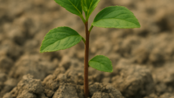 How-to-Know-If-Youve-Been-Chosen-by-God